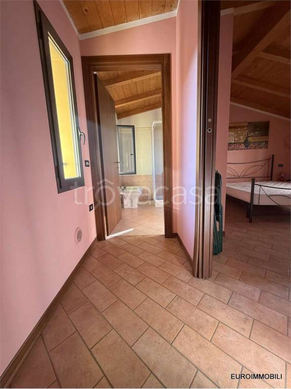 immagine annuncio 11 di 14