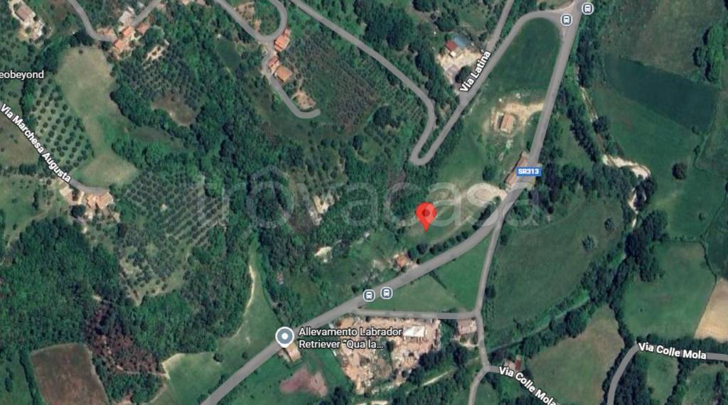 immagine annuncio 1 di 11