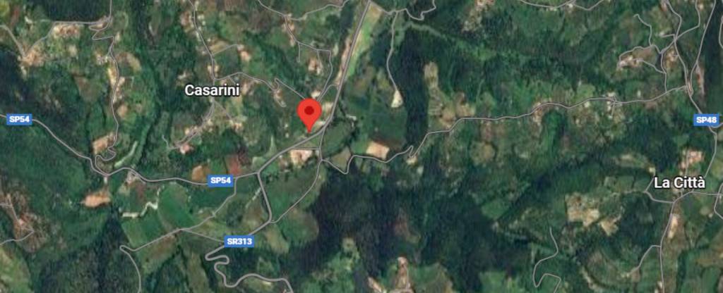 immagine annuncio 3 di 11