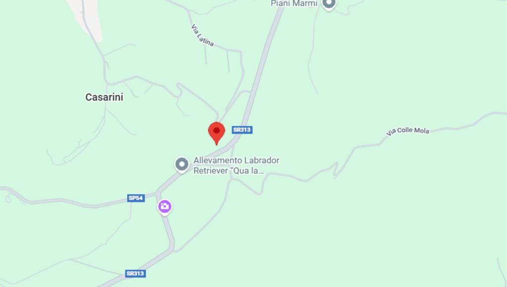 immagine annuncio 5 di 11