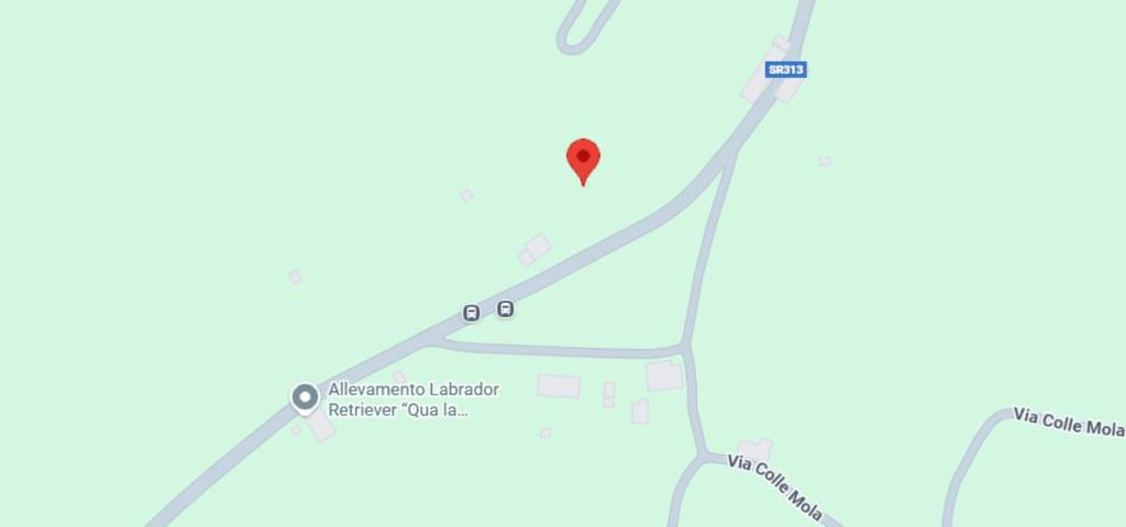 immagine annuncio 7 di 11