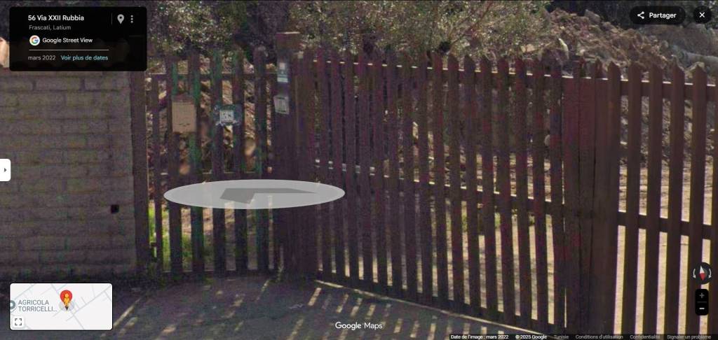 immagine annuncio 2 di 12