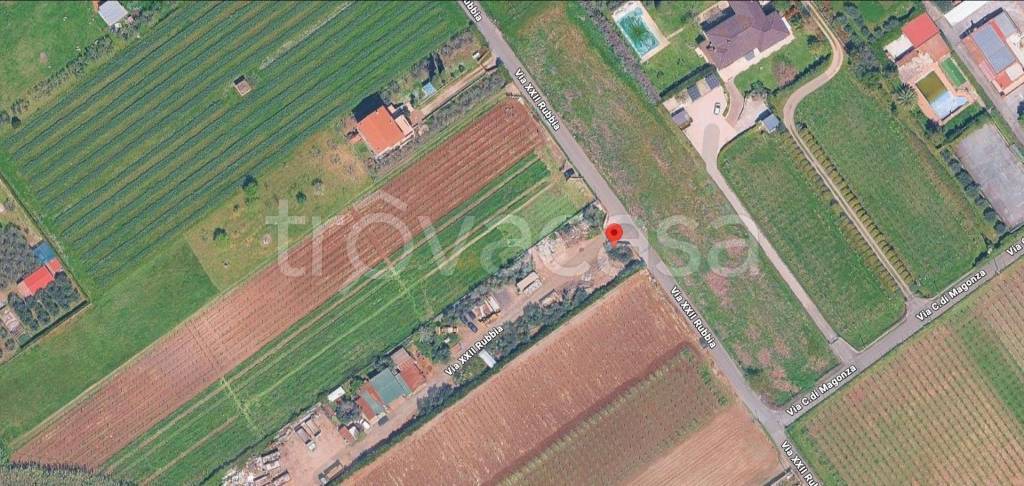 immagine annuncio 10 di 12