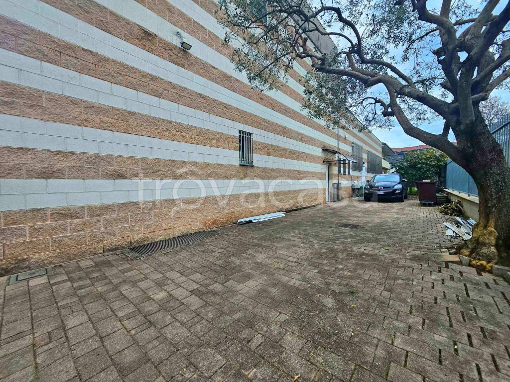 immagine annuncio 2 di 15