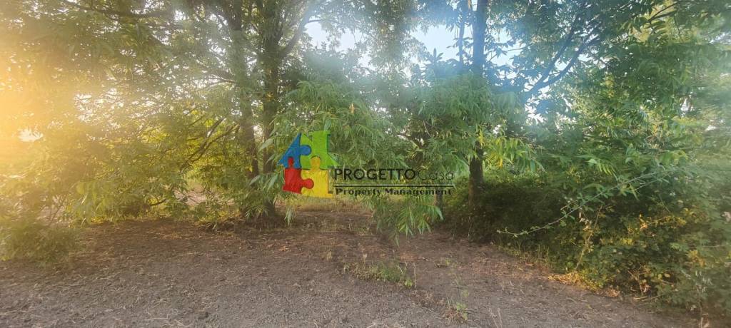 immagine annuncio 3 di 8