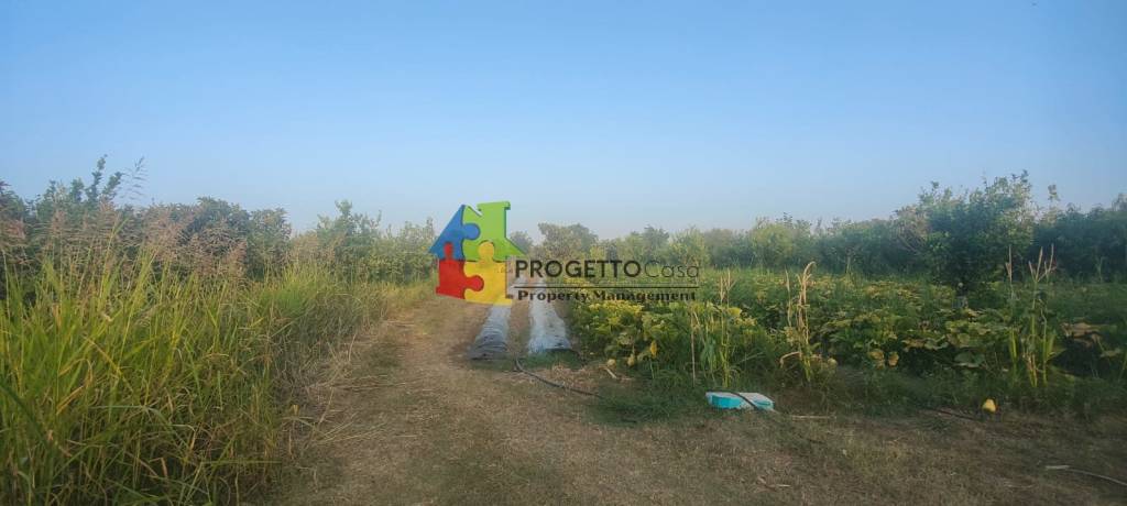 immagine annuncio 4 di 8