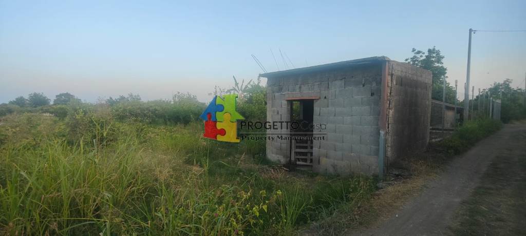 immagine annuncio 5 di 8