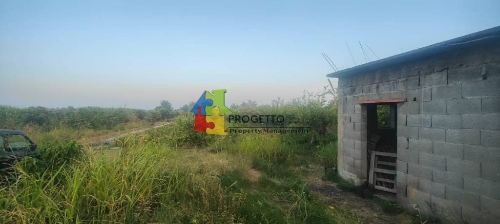 immagine annuncio 6 di 8