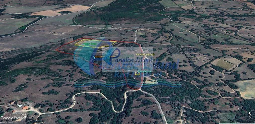 immagine annuncio 4 di 11