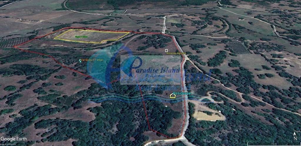 immagine annuncio 5 di 11