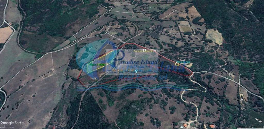 immagine annuncio 10 di 11