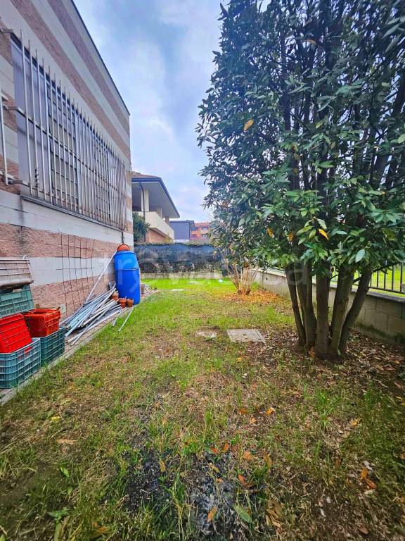 immagine annuncio 3 di 15