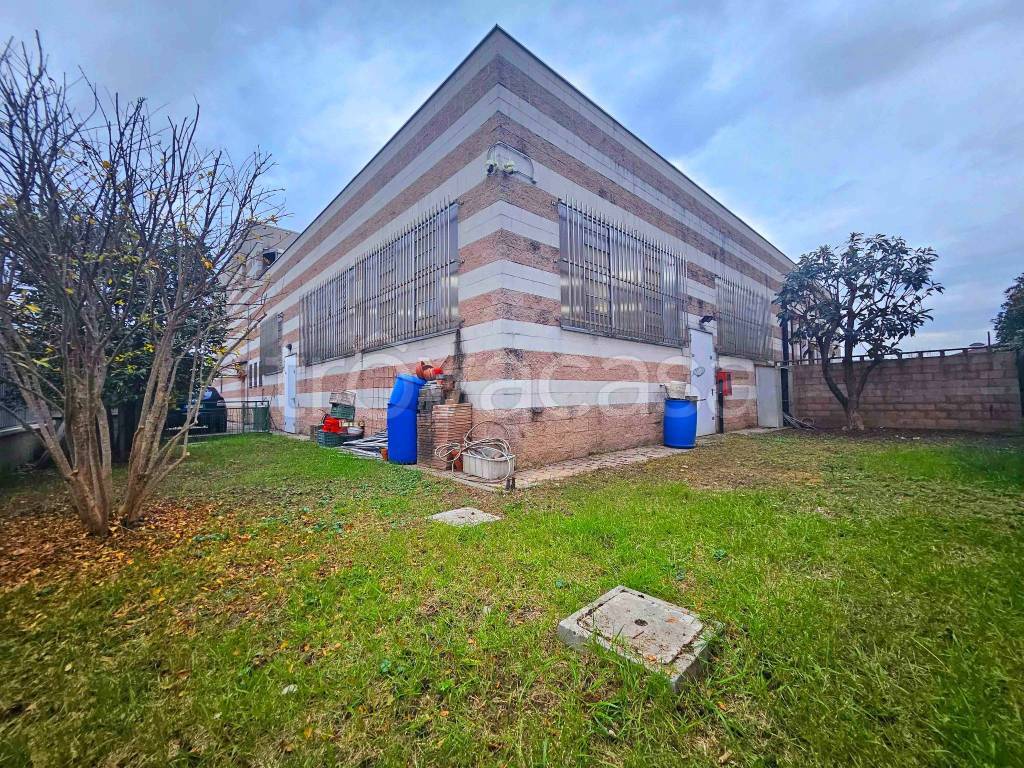 immagine annuncio 5 di 15