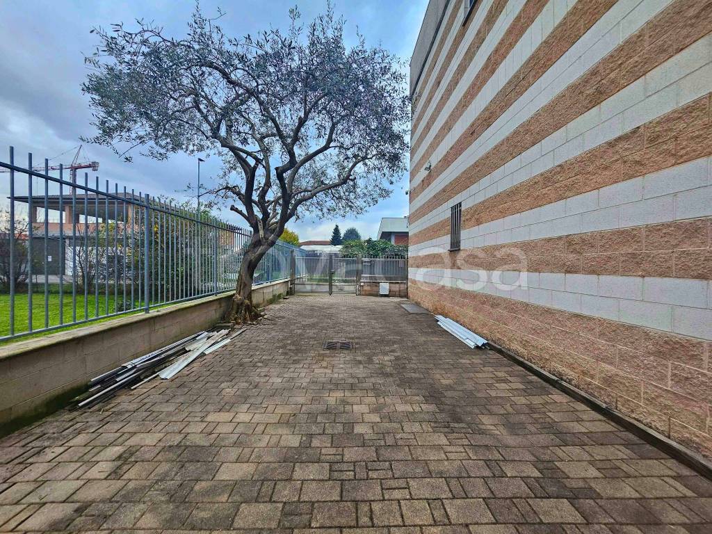 immagine annuncio 6 di 15