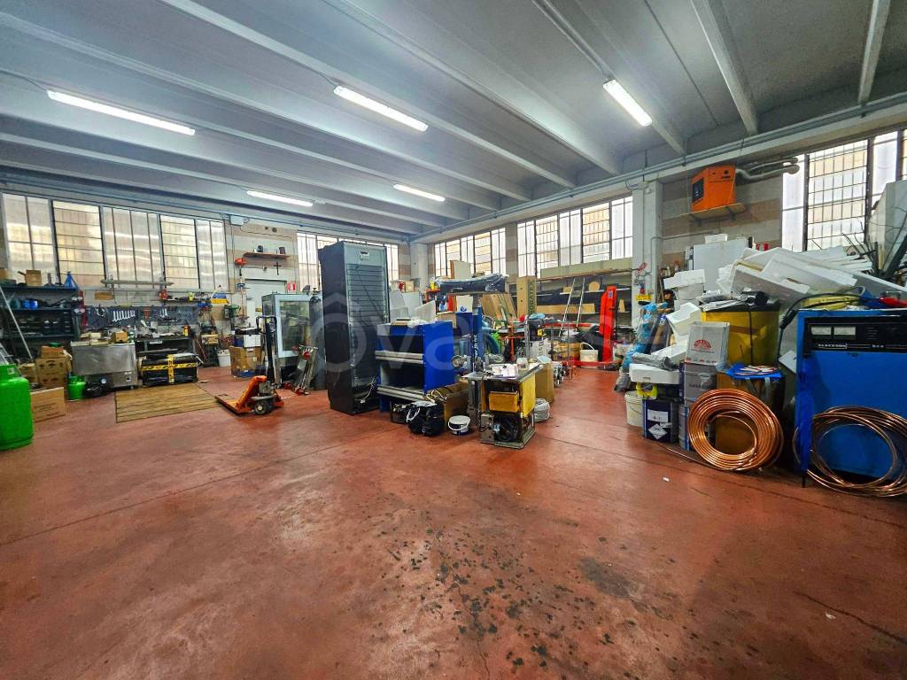 immagine annuncio 9 di 15