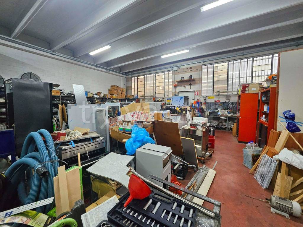 immagine annuncio 11 di 15