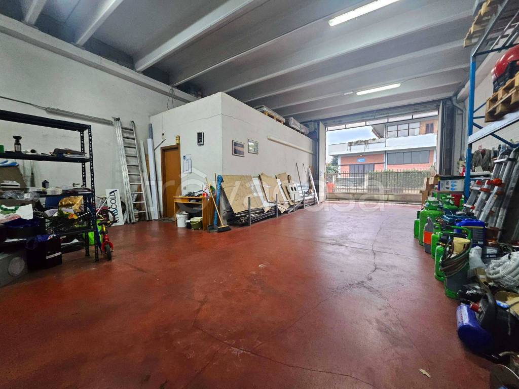 immagine annuncio 12 di 15