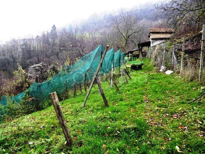 immagine annuncio 6 di 12