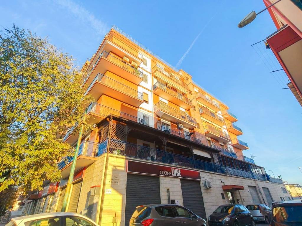 immagine annuncio 7 di 15