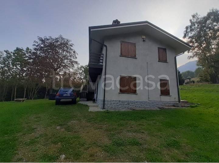 immagine annuncio 12 di 14