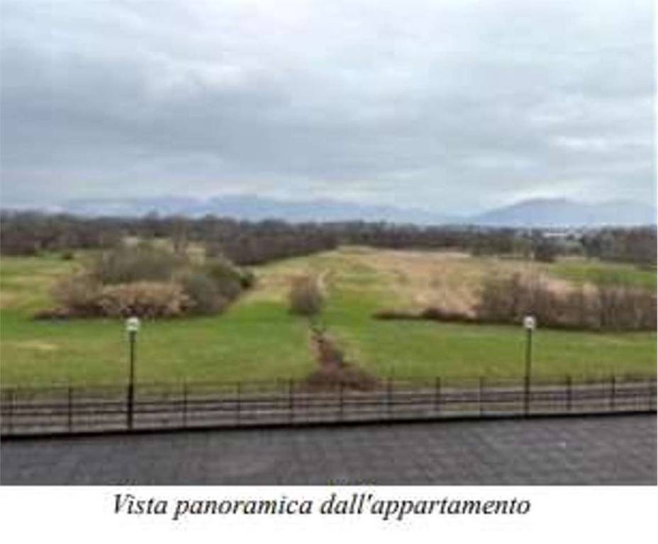 immagine annuncio 3 di 8