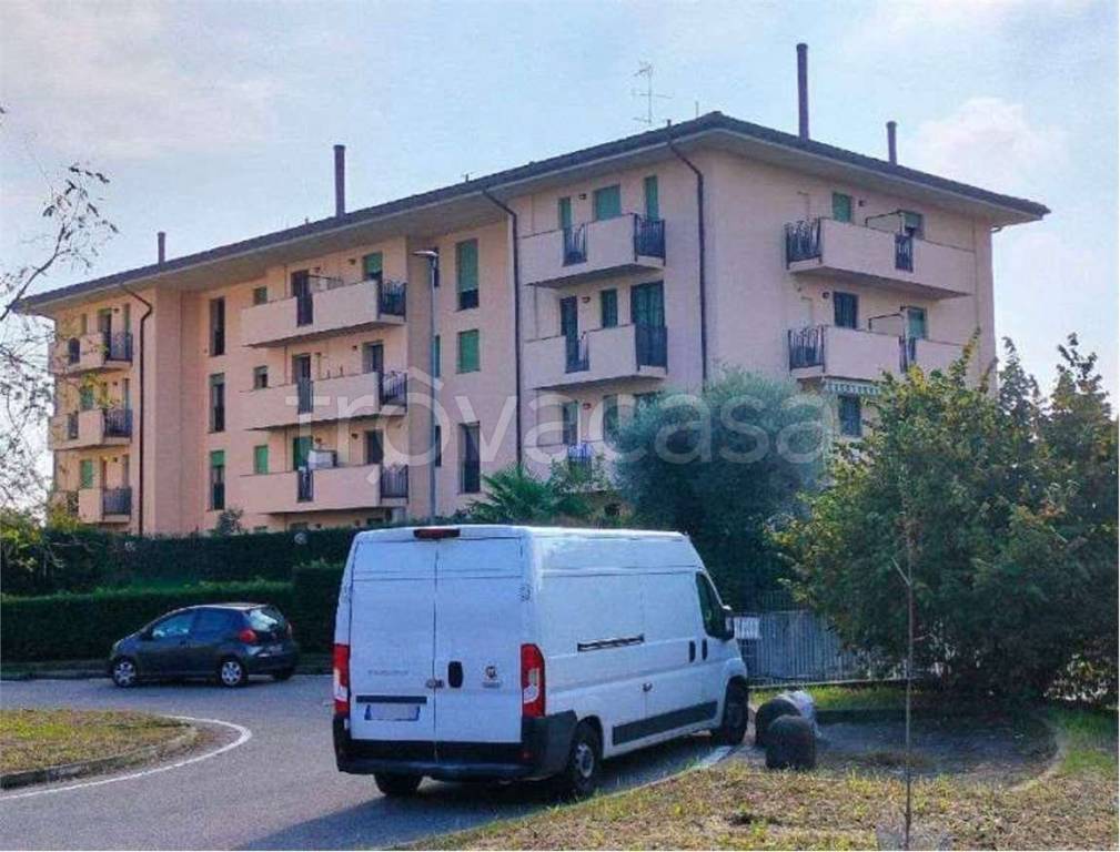 immagine annuncio 7 di 15