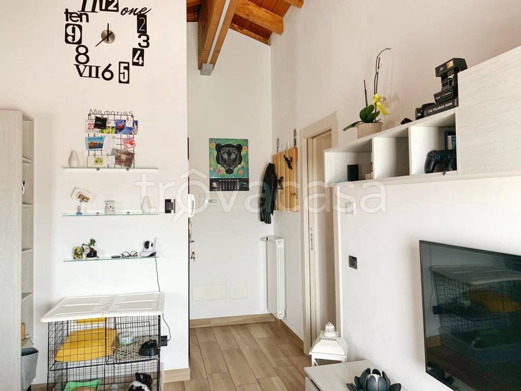 immagine annuncio 5 di 13