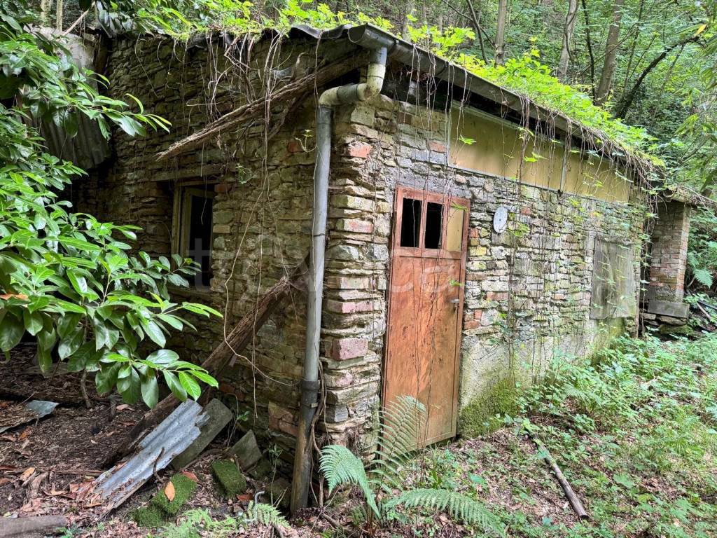 immagine annuncio 2 di 10