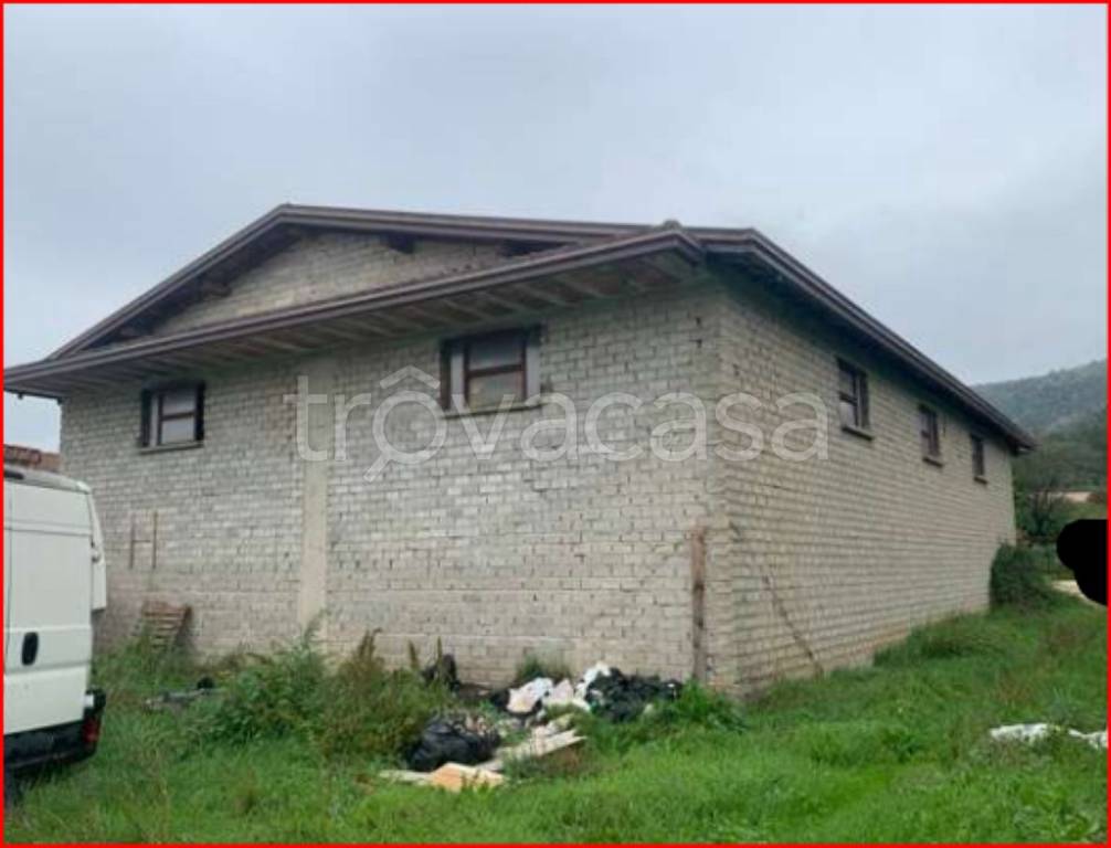 immagine annuncio 5 di 12