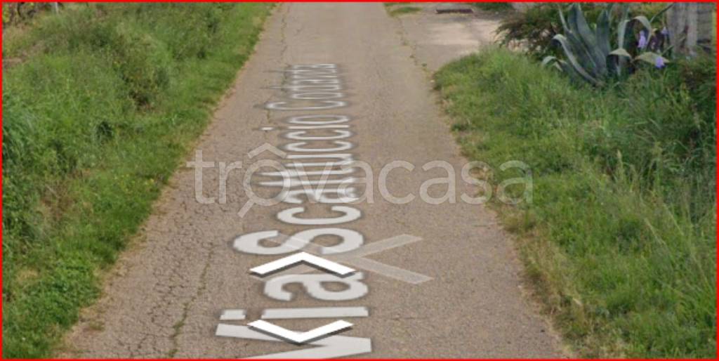 immagine annuncio 9 di 12