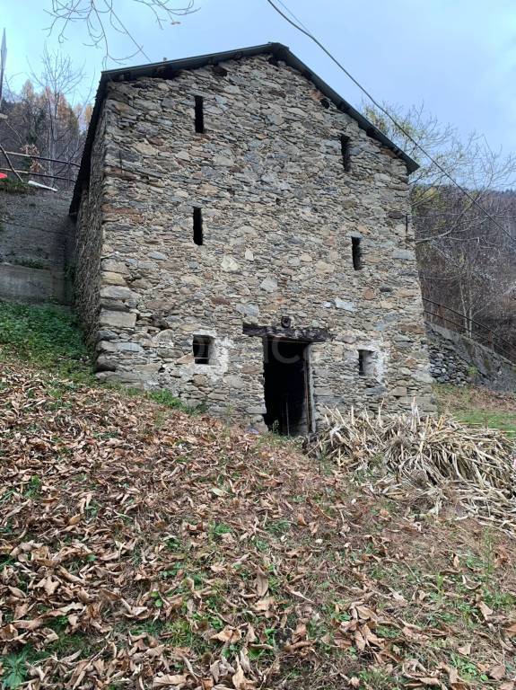 immagine annuncio 1 di 11