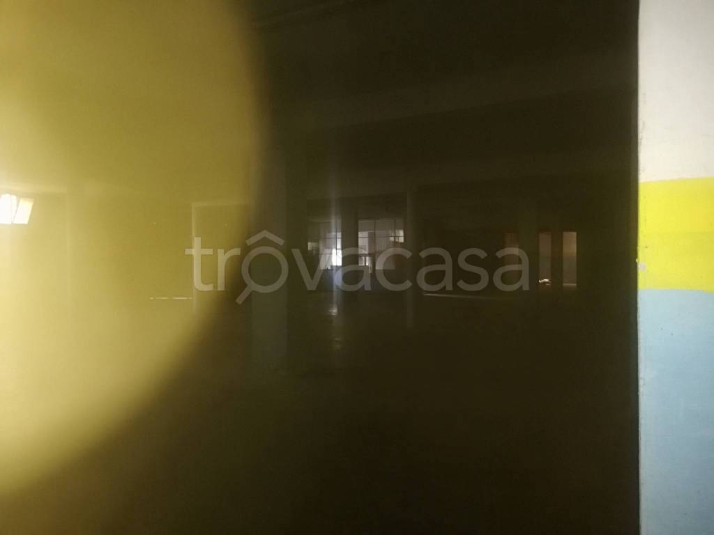 immagine annuncio 2 di 6