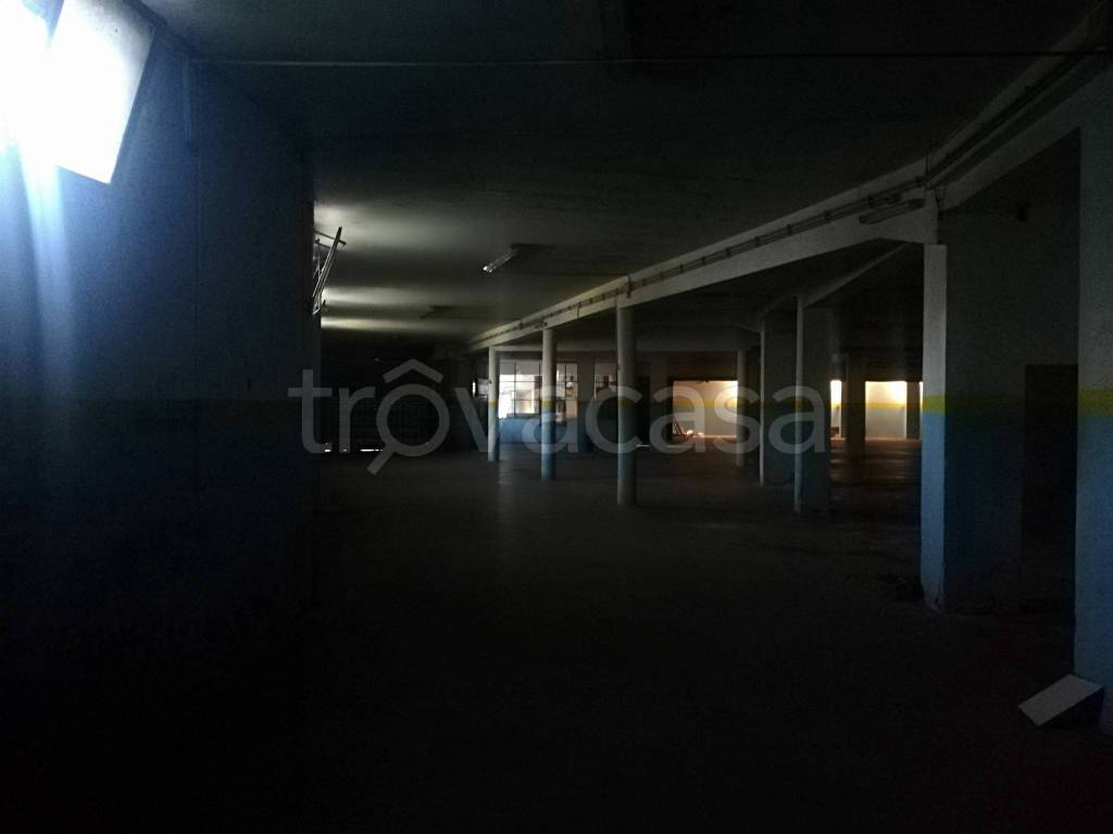 immagine annuncio 5 di 6