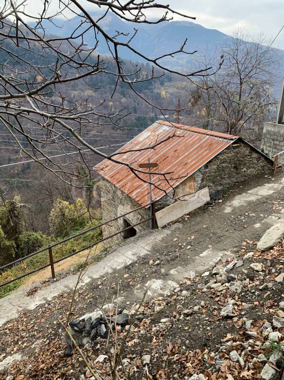 immagine annuncio 5 di 11