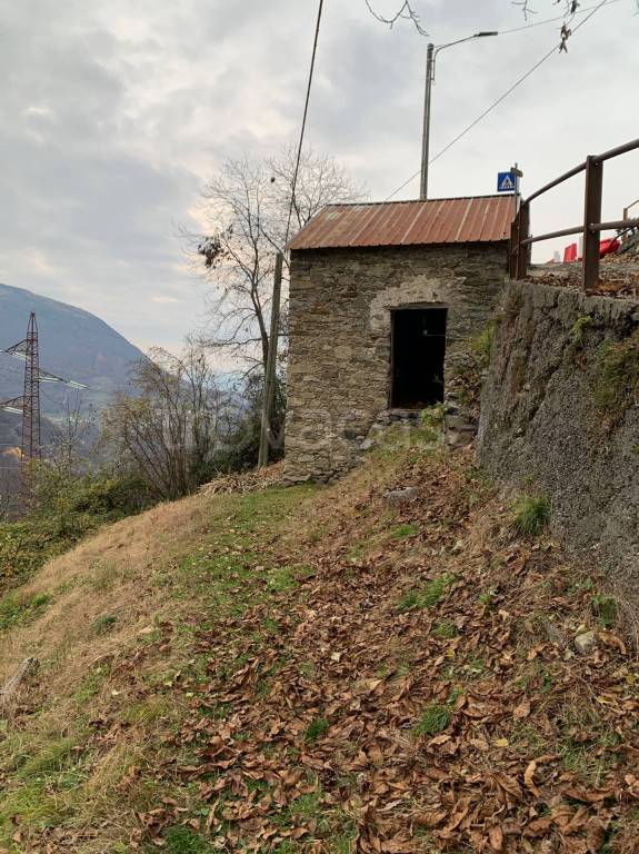 immagine annuncio 9 di 11