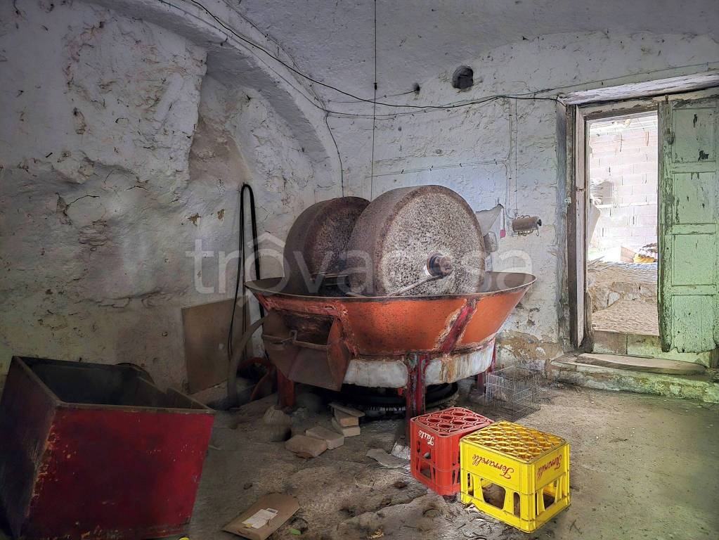 immagine annuncio 10 di 15