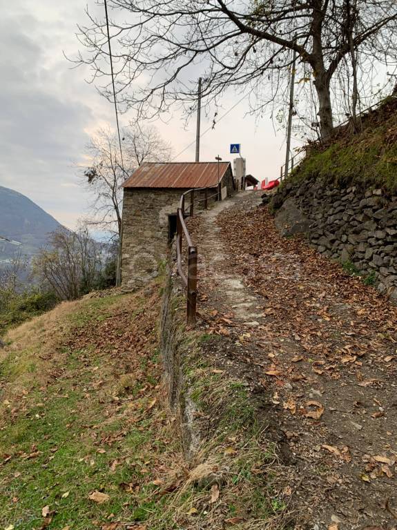 immagine annuncio 10 di 11