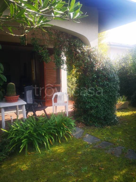 immagine annuncio 2 di 14