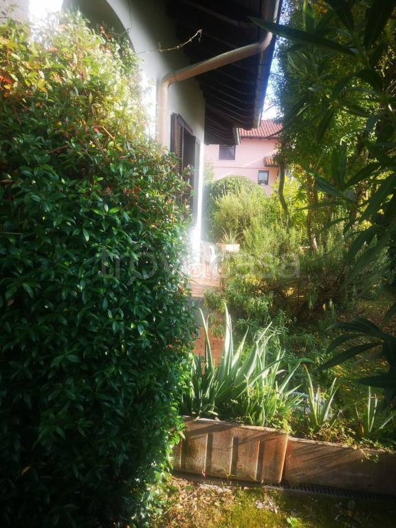 immagine annuncio 3 di 14