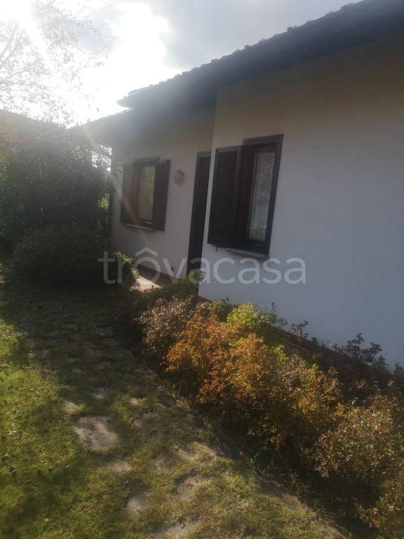 immagine annuncio 5 di 14