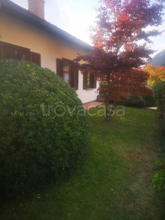 immagine annuncio 6 di 14