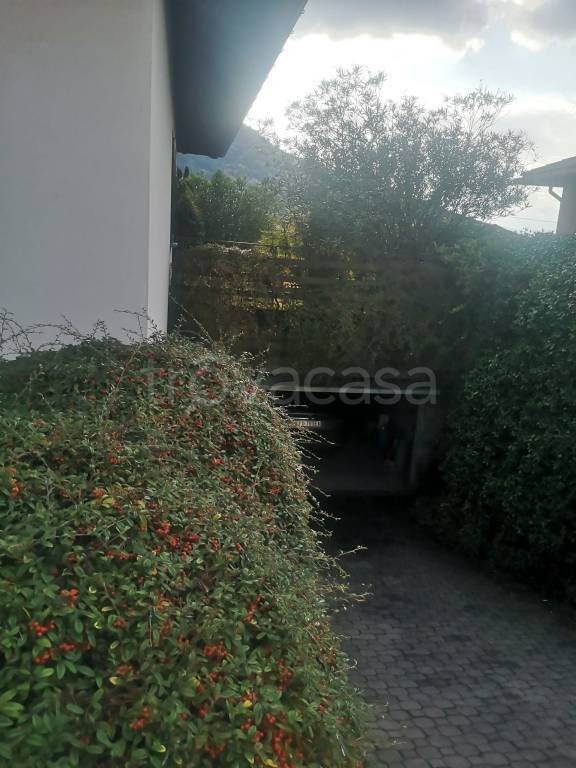 immagine annuncio 10 di 14