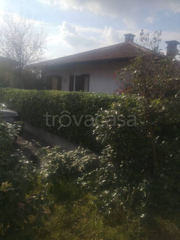 immagine annuncio 12 di 14