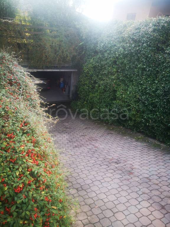 immagine annuncio 13 di 14