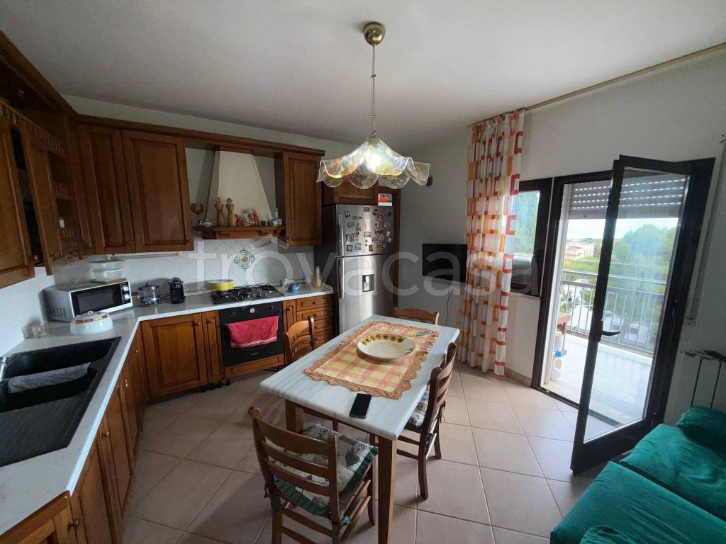 immagine annuncio 7 di 15