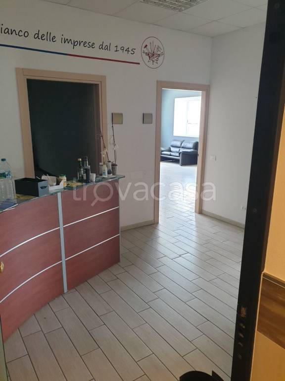 immagine annuncio 9 di 12