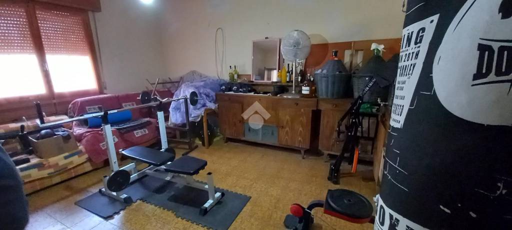 immagine annuncio 6 di 11