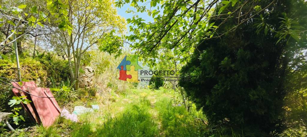 immagine annuncio 7 di 14