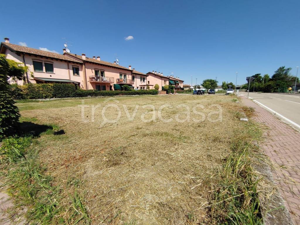 immagine annuncio 2 di 4