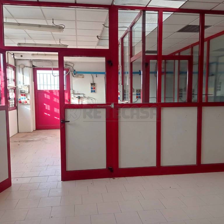 immagine annuncio 2 di 6